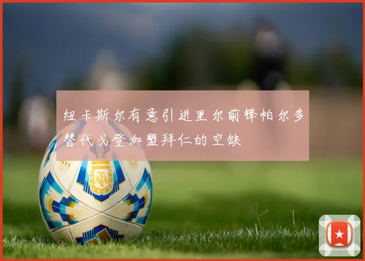 纽卡斯尔有意引进里尔前锋帕尔多替代戈登加盟拜仁的空缺