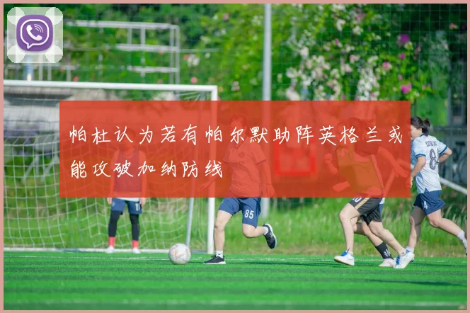 帕杜认为若有帕尔默助阵英格兰或能攻破加纳防线